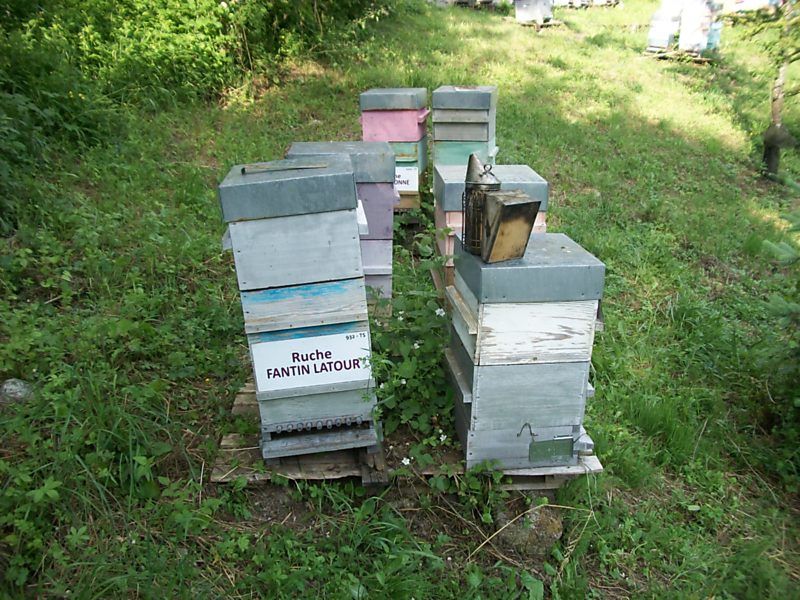 La ruche Fantin latour