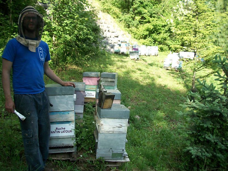 La ruche Fantin latour