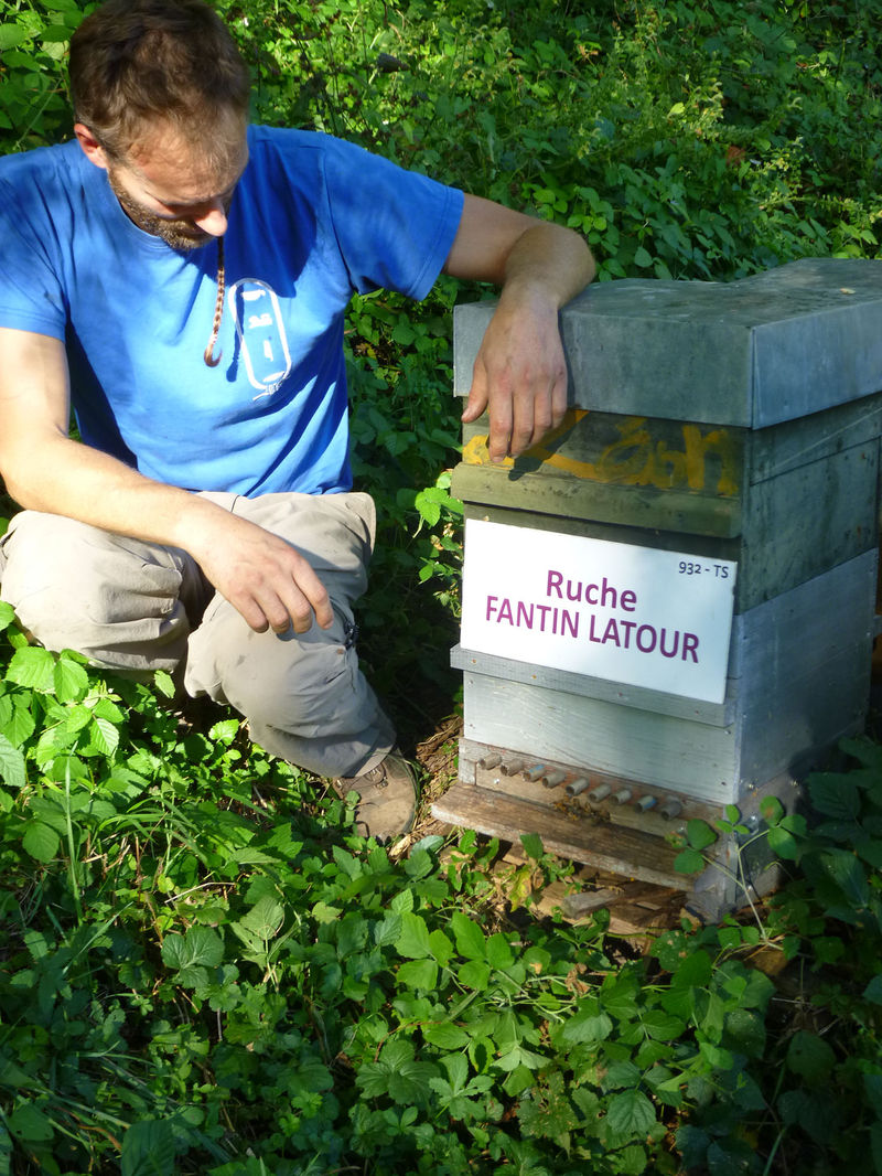 La ruche Fantin latour