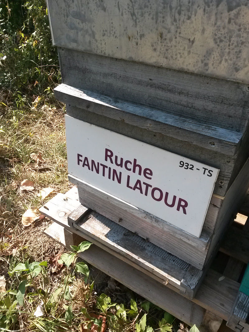 La ruche Fantin latour