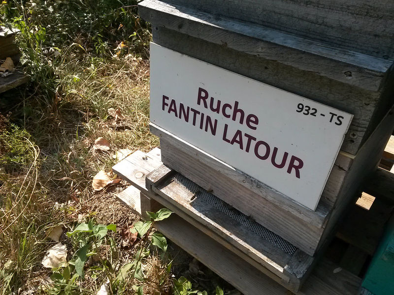 La ruche Fantin latour