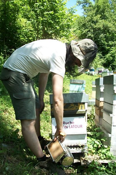 La ruche Fantin latour
