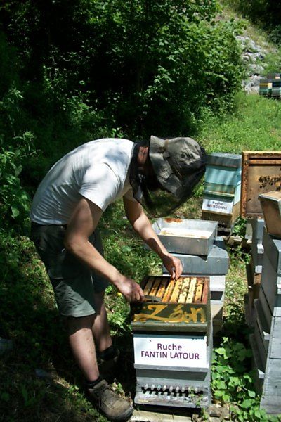 La ruche Fantin latour