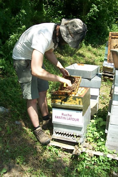 La ruche Fantin latour