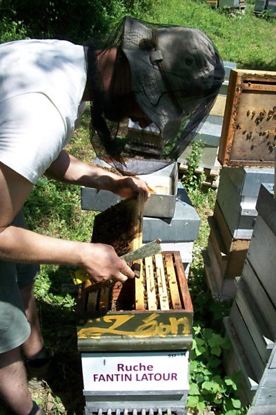 La ruche Fantin latour