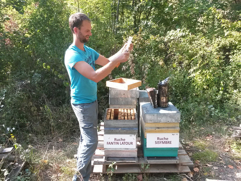 La ruche Fantin latour