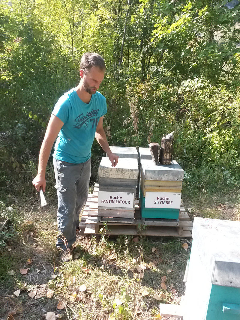 La ruche Fantin latour