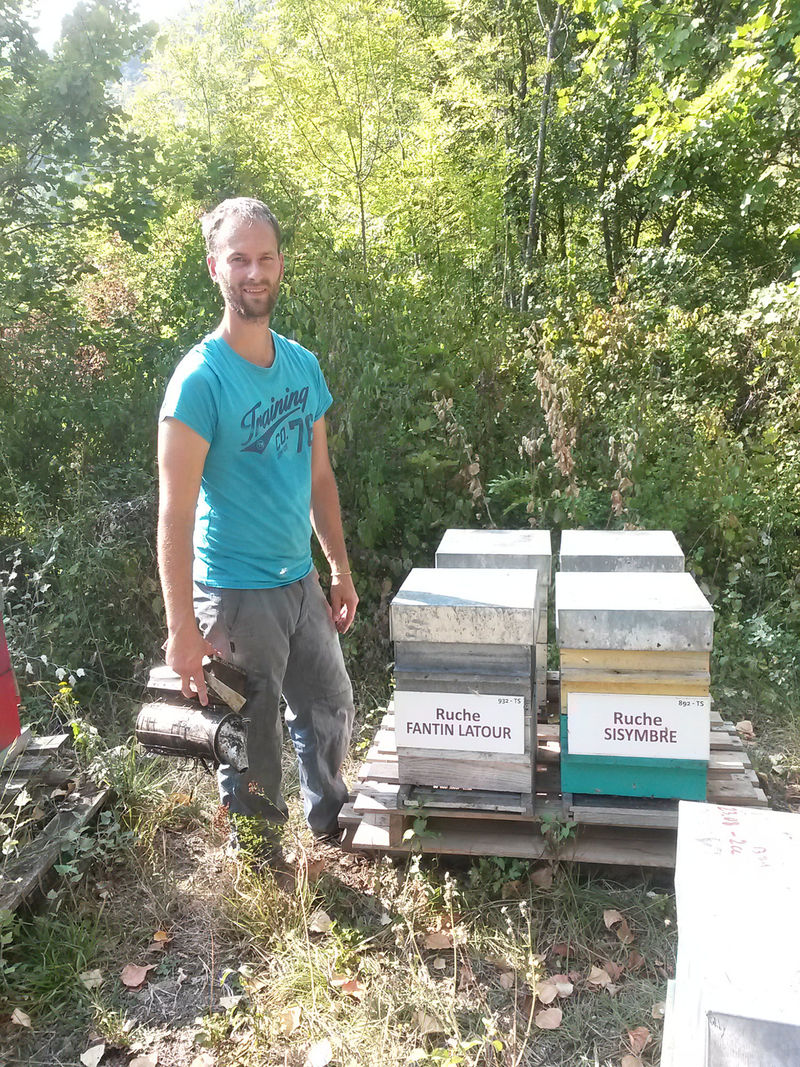 La ruche Fantin latour