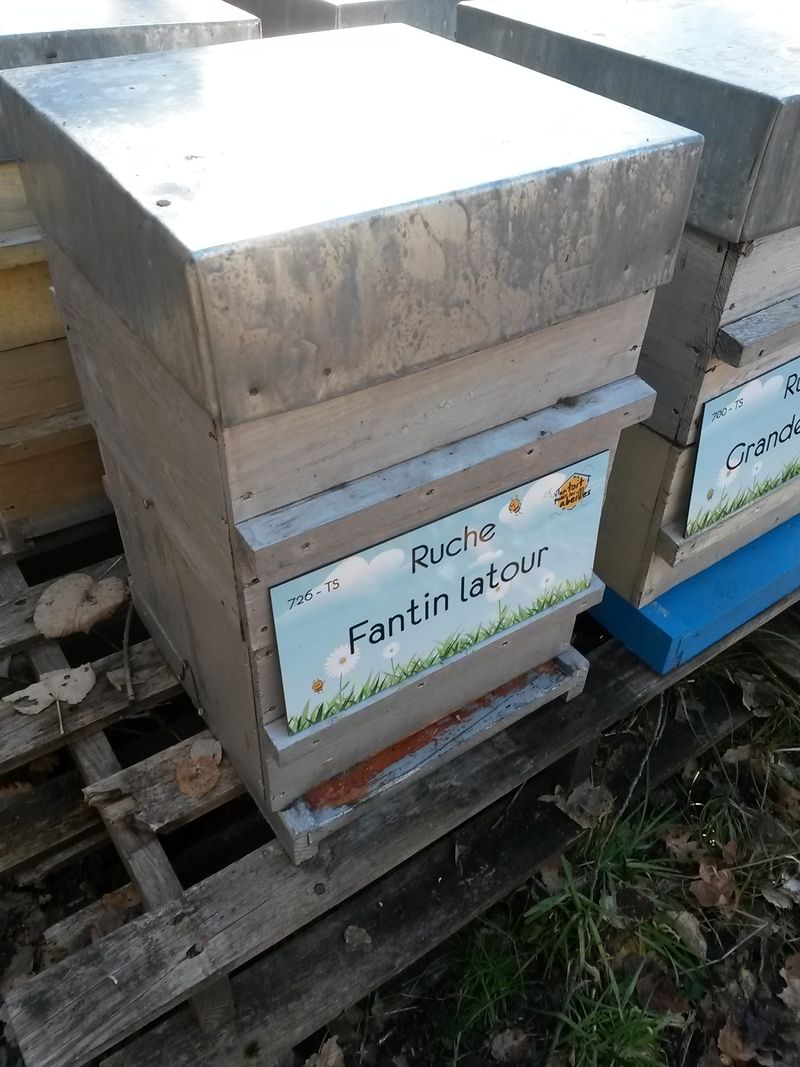 La ruche Fantin latour