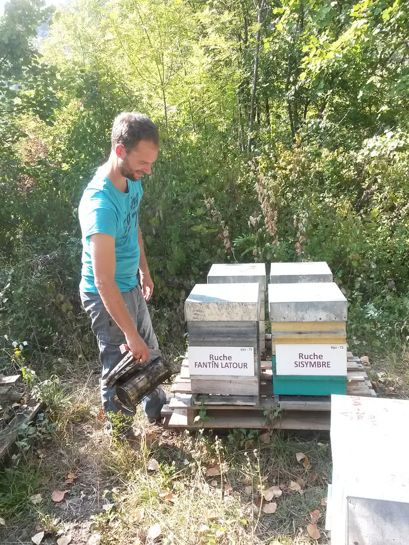La ruche Fantin latour