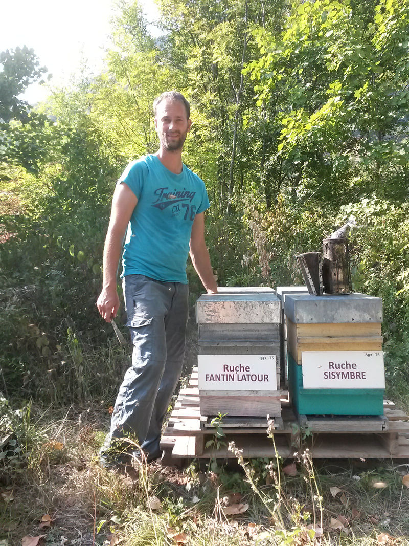 La ruche Fantin latour