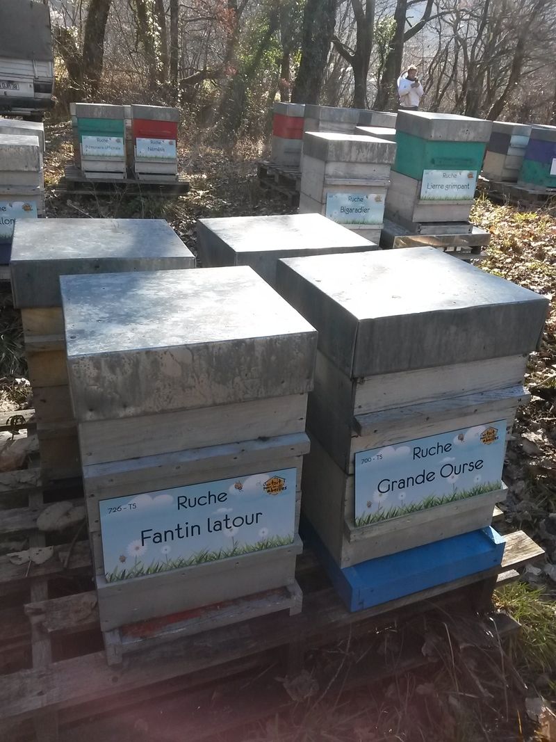 La ruche Fantin latour