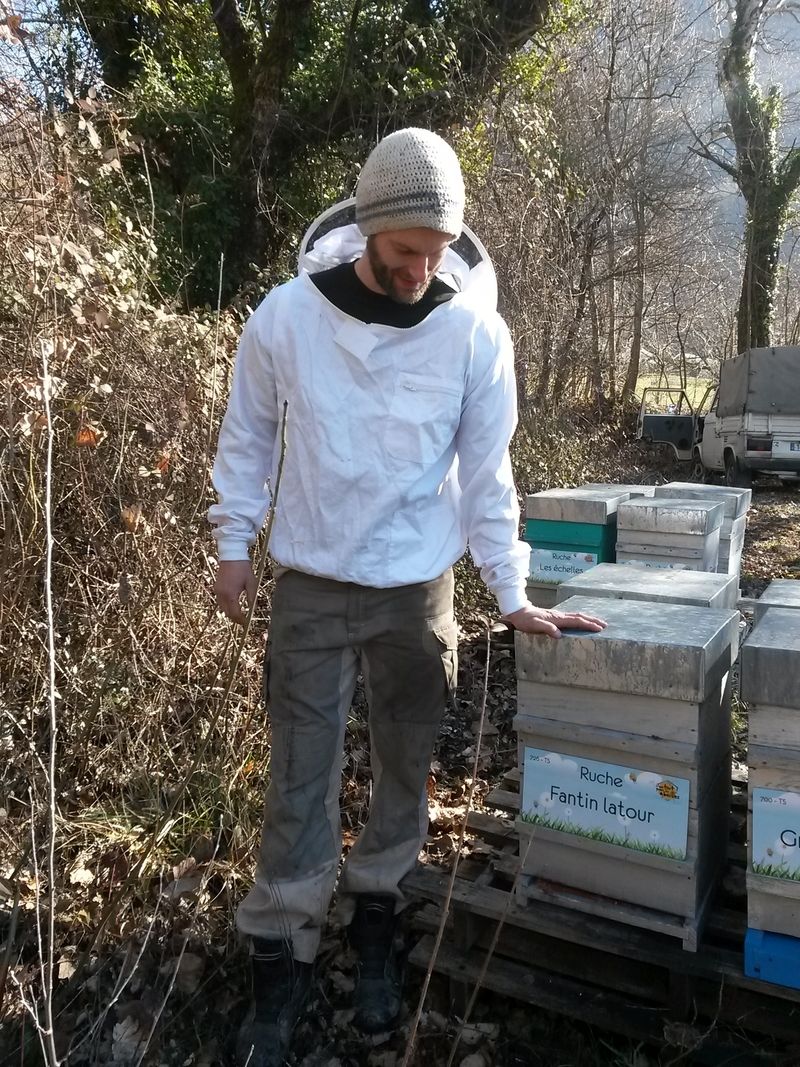 La ruche Fantin latour