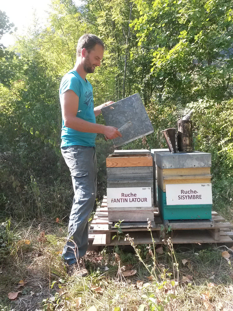 La ruche Fantin latour
