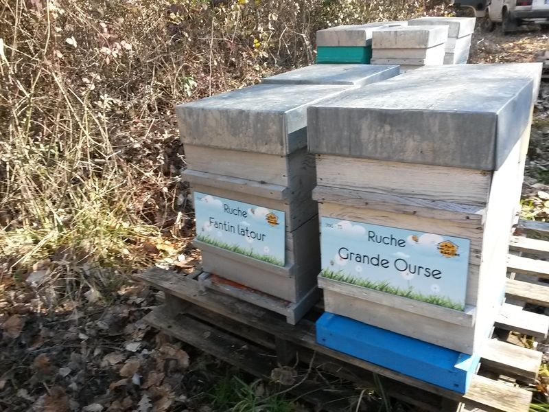 La ruche Fantin latour