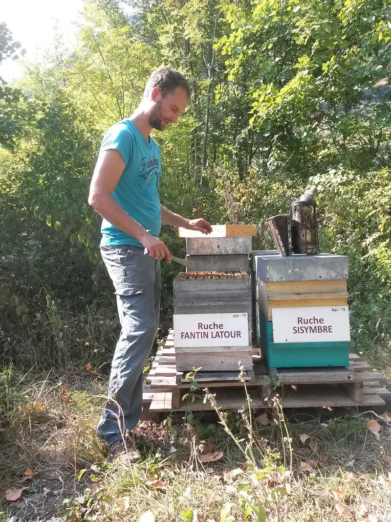 La ruche Fantin latour