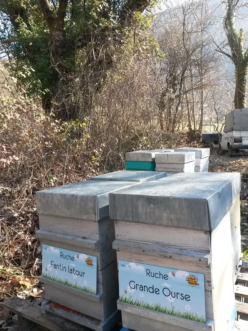 La ruche Fantin latour