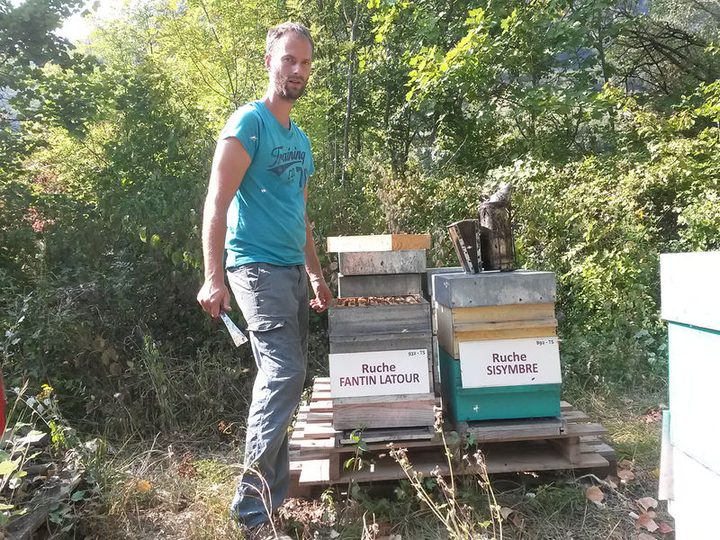 La ruche Fantin latour