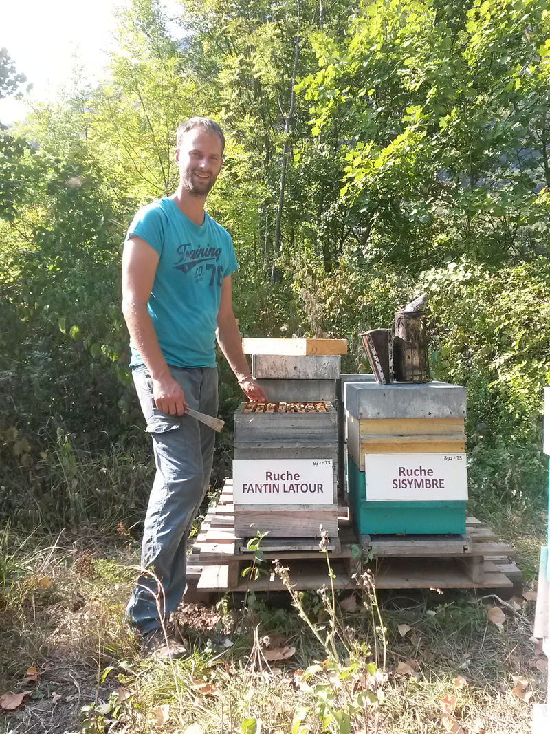 La ruche Fantin latour