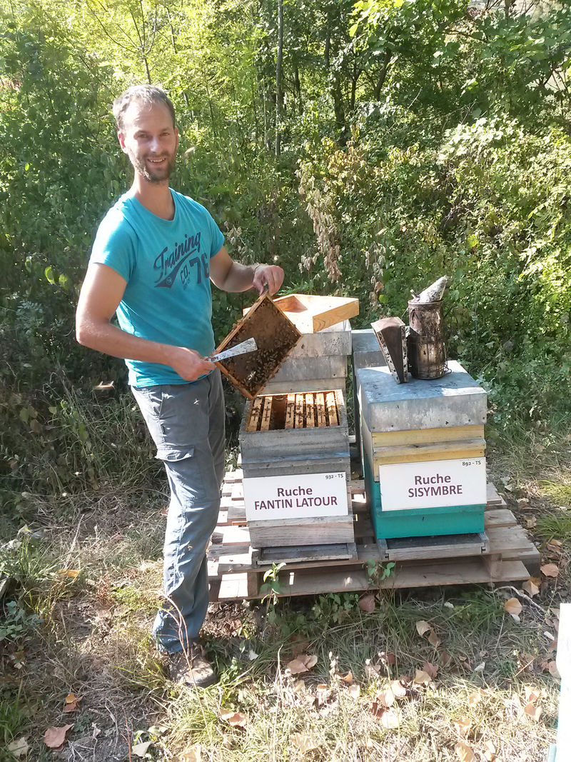 La ruche Fantin latour