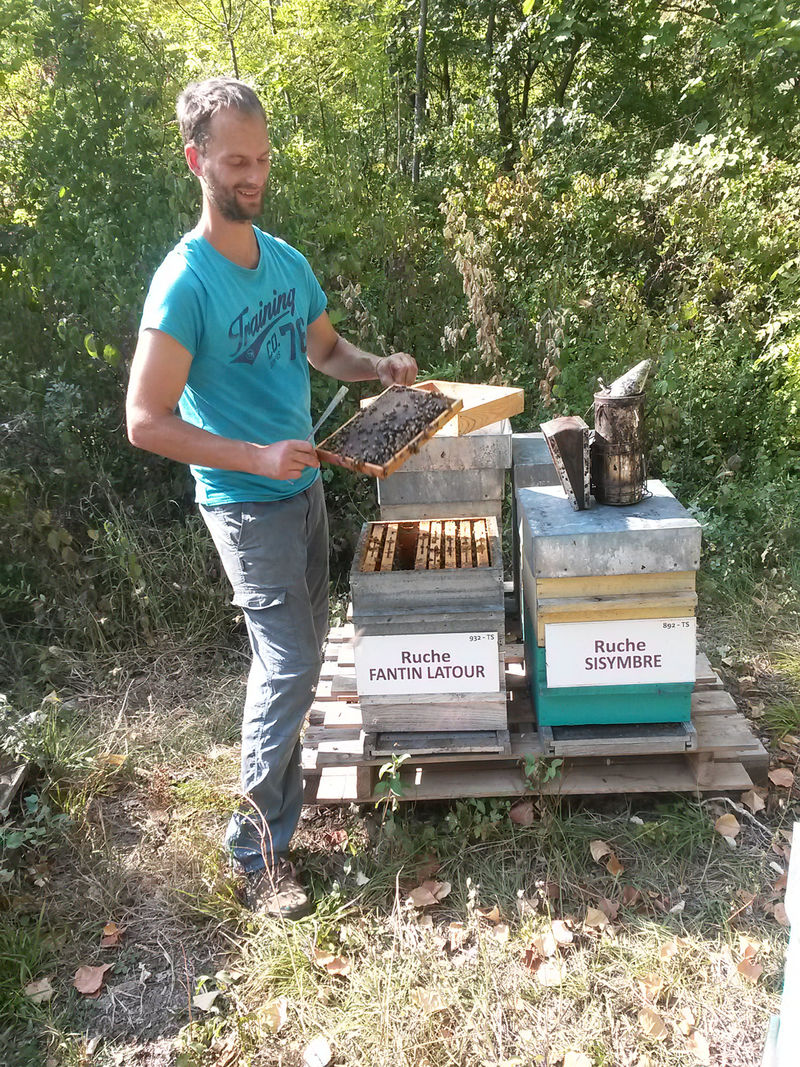 La ruche Fantin latour