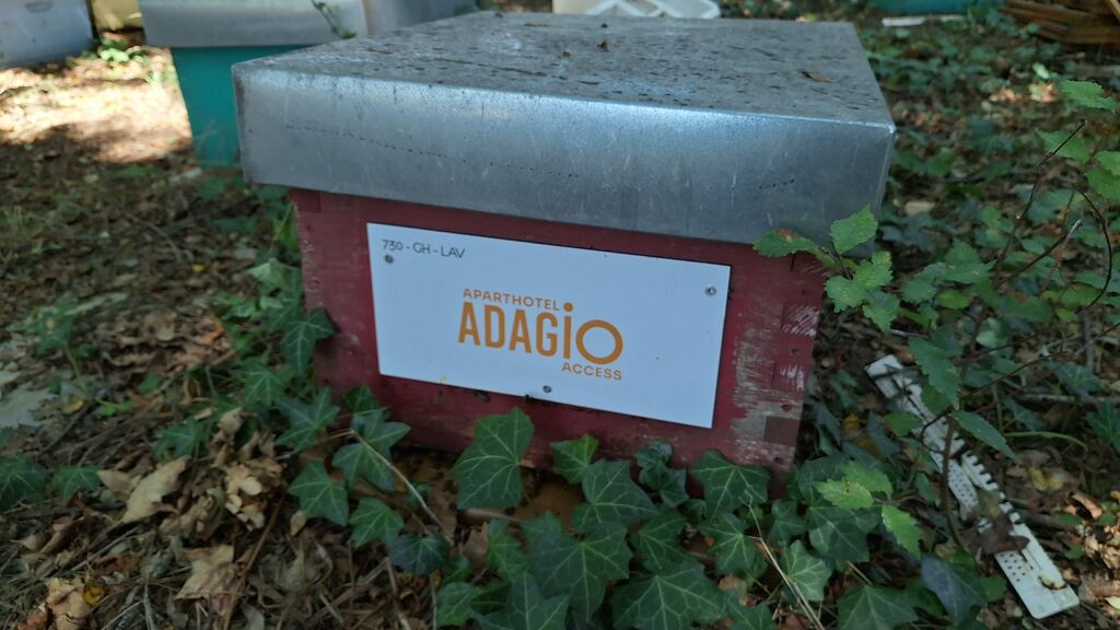 La ruche Adagio Access Toulouse Saint Cyprien