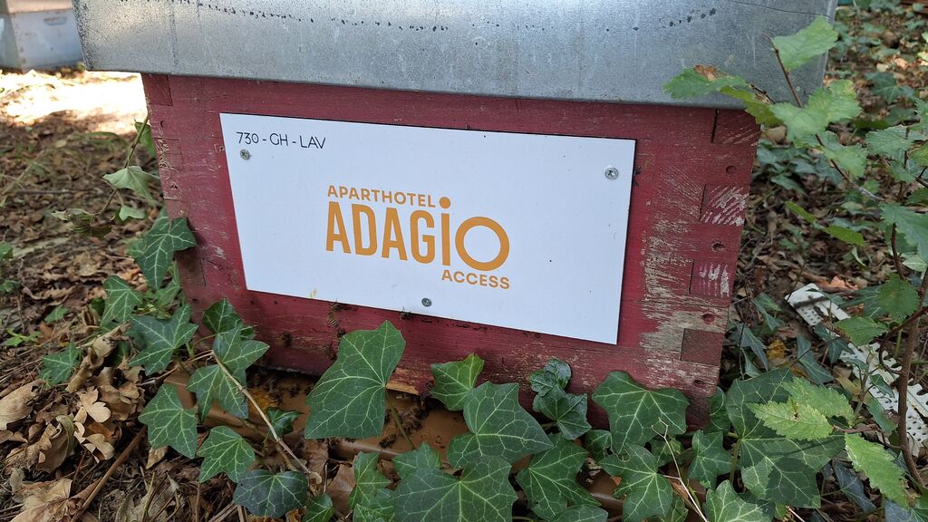 La ruche Adagio Access Toulouse Saint Cyprien