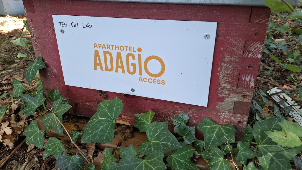 La ruche Adagio Access Toulouse Saint Cyprien