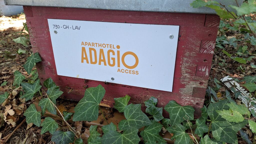 La ruche Adagio Access Toulouse Saint Cyprien