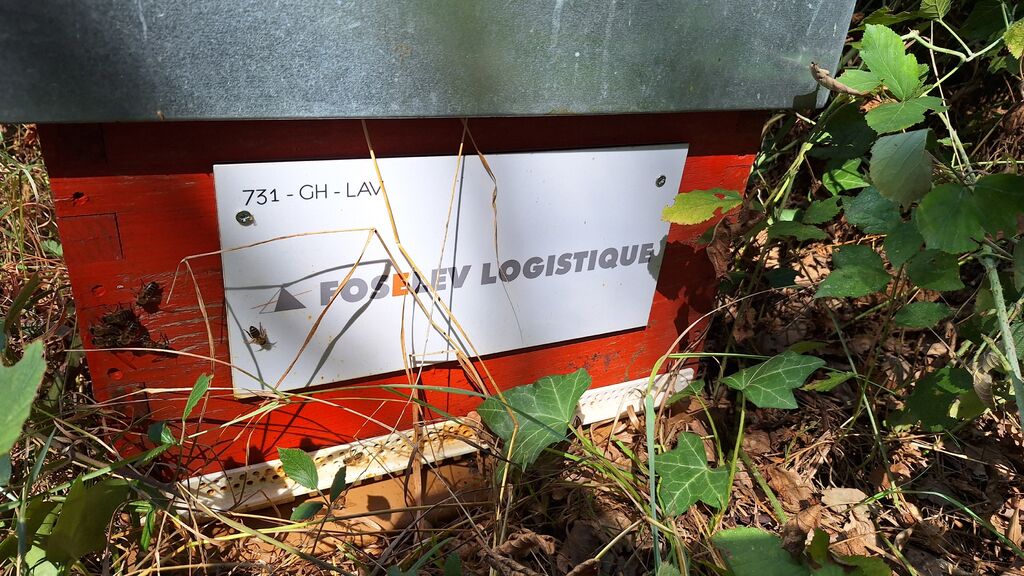 La ruche FOSELEV LOGISTIQUE