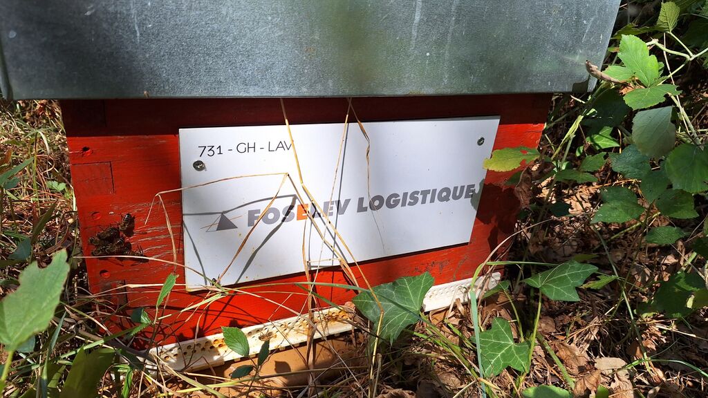La ruche FOSELEV LOGISTIQUE