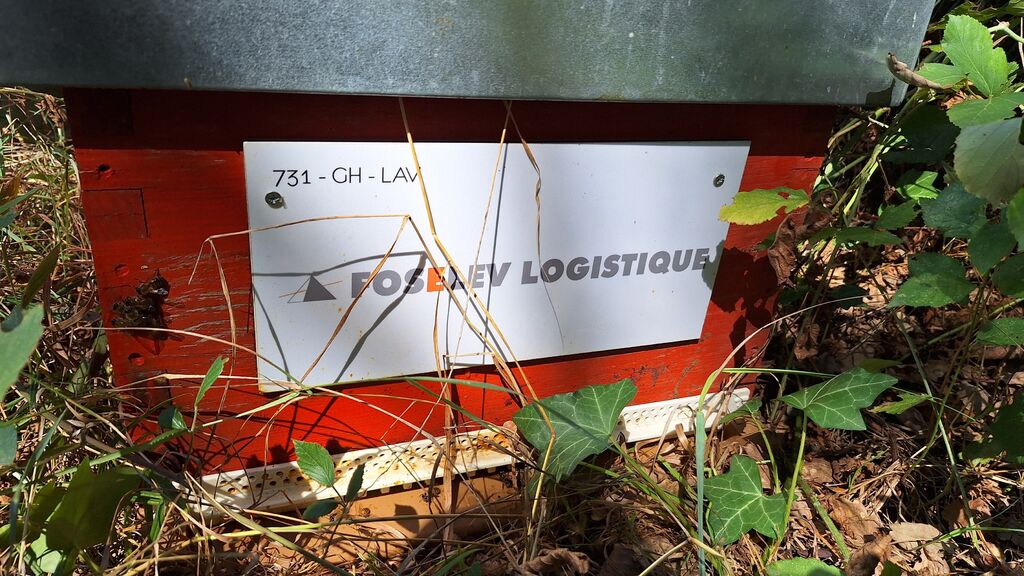 La ruche FOSELEV LOGISTIQUE