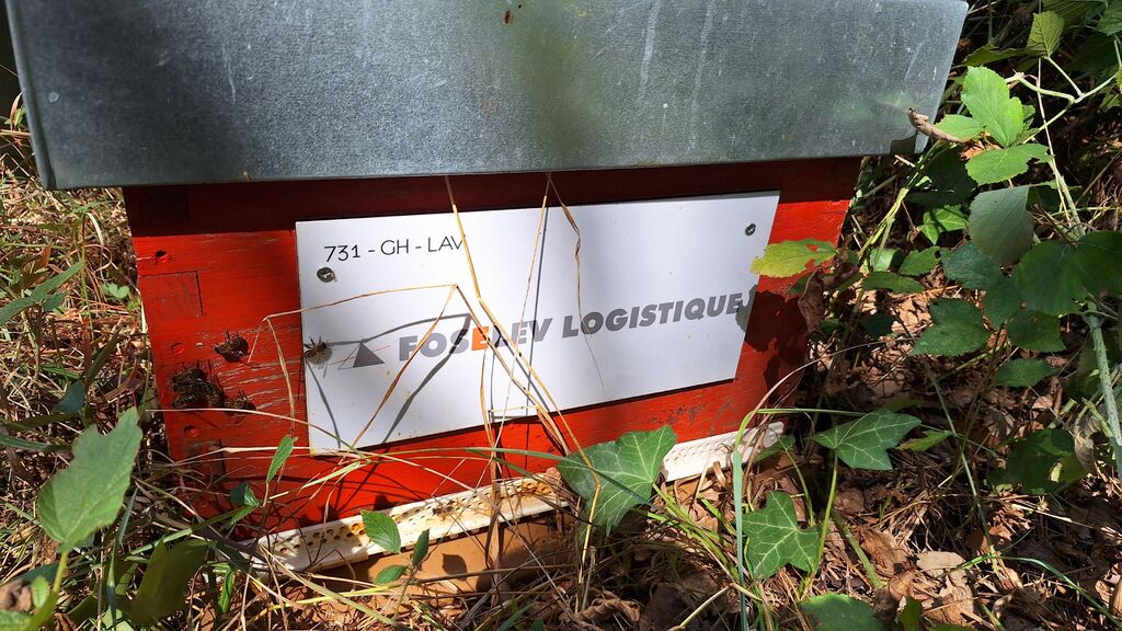 La ruche FOSELEV LOGISTIQUE