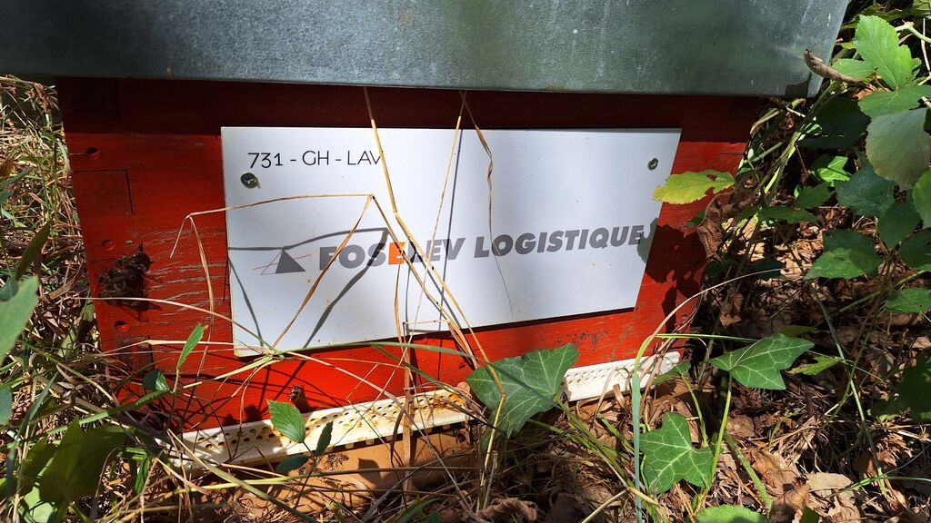 La ruche FOSELEV LOGISTIQUE