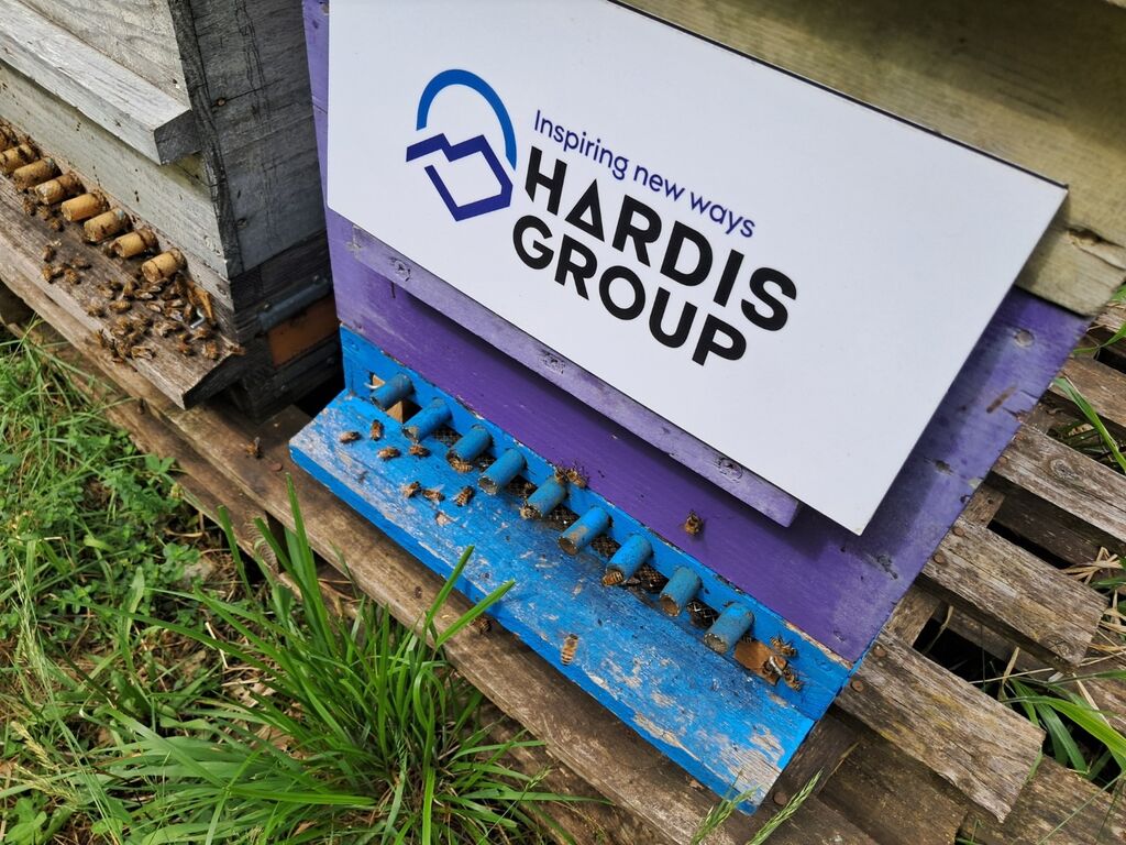 La ruche Hardis Group