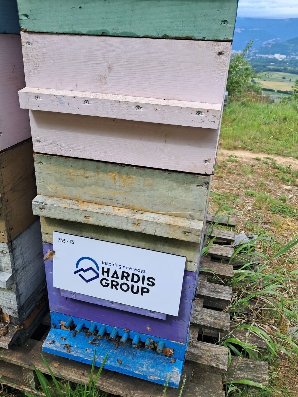 La ruche Hardis Group