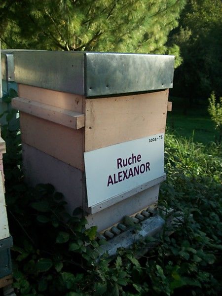 La ruche Alexanor