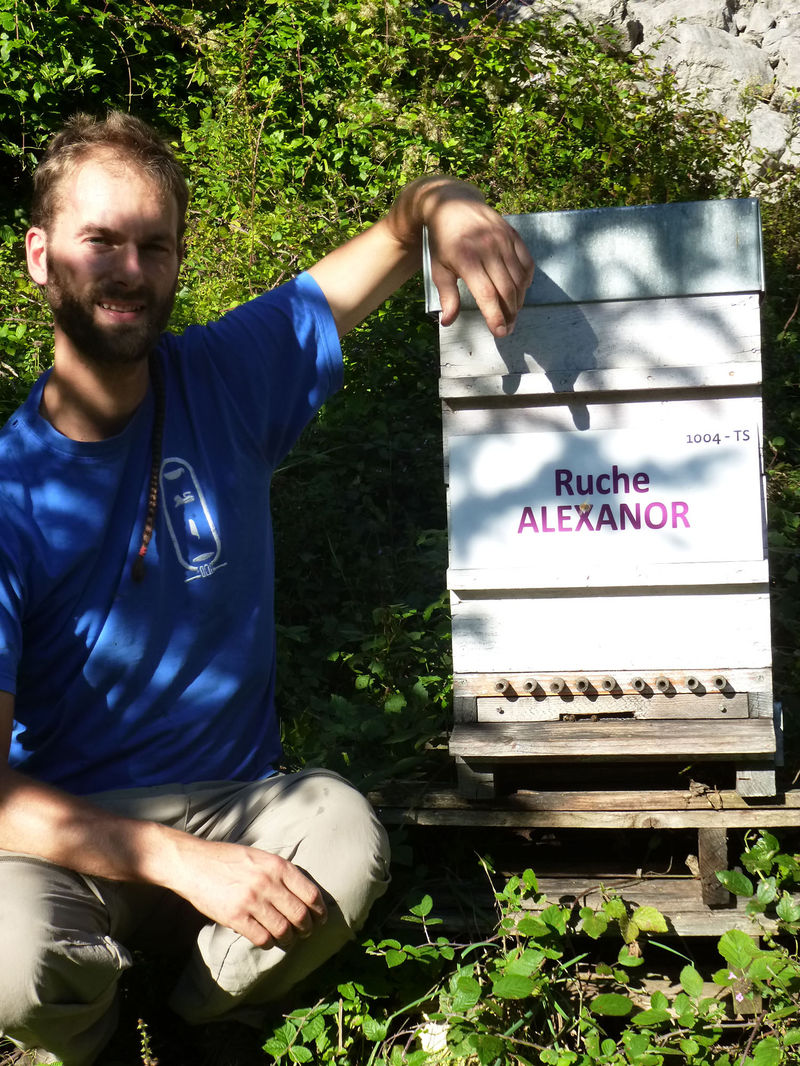 La ruche Alexanor