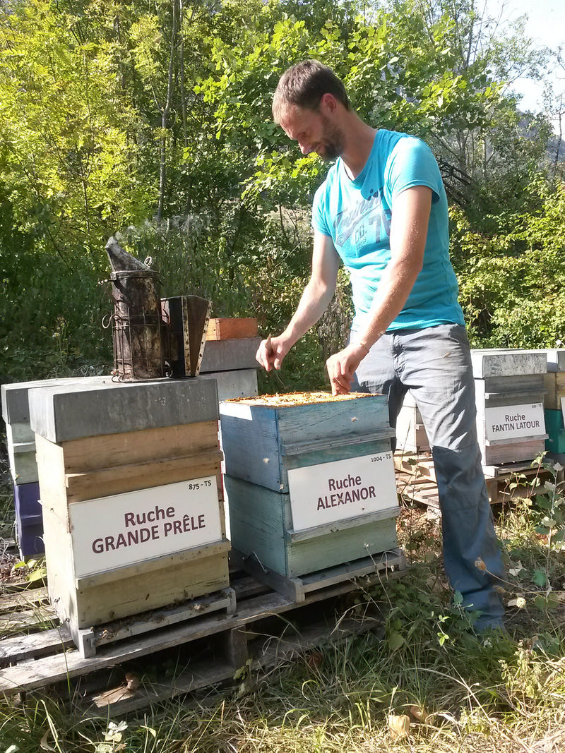 La ruche Alexanor