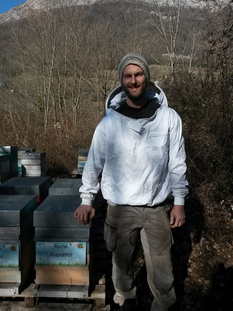 La ruche Alexanor