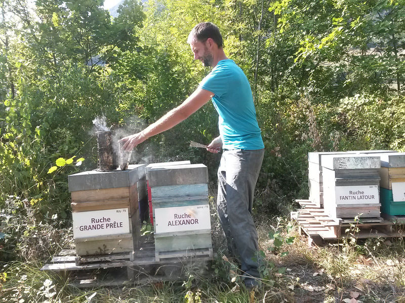 La ruche Alexanor