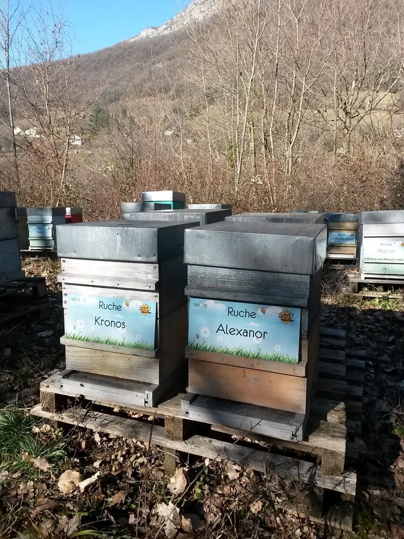 La ruche Alexanor