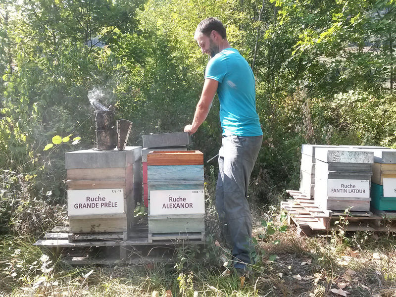 La ruche Alexanor