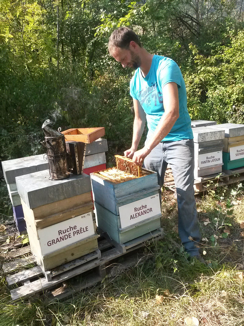 La ruche Alexanor
