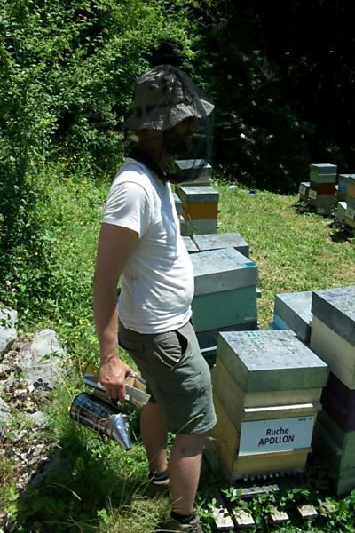La ruche Apollon