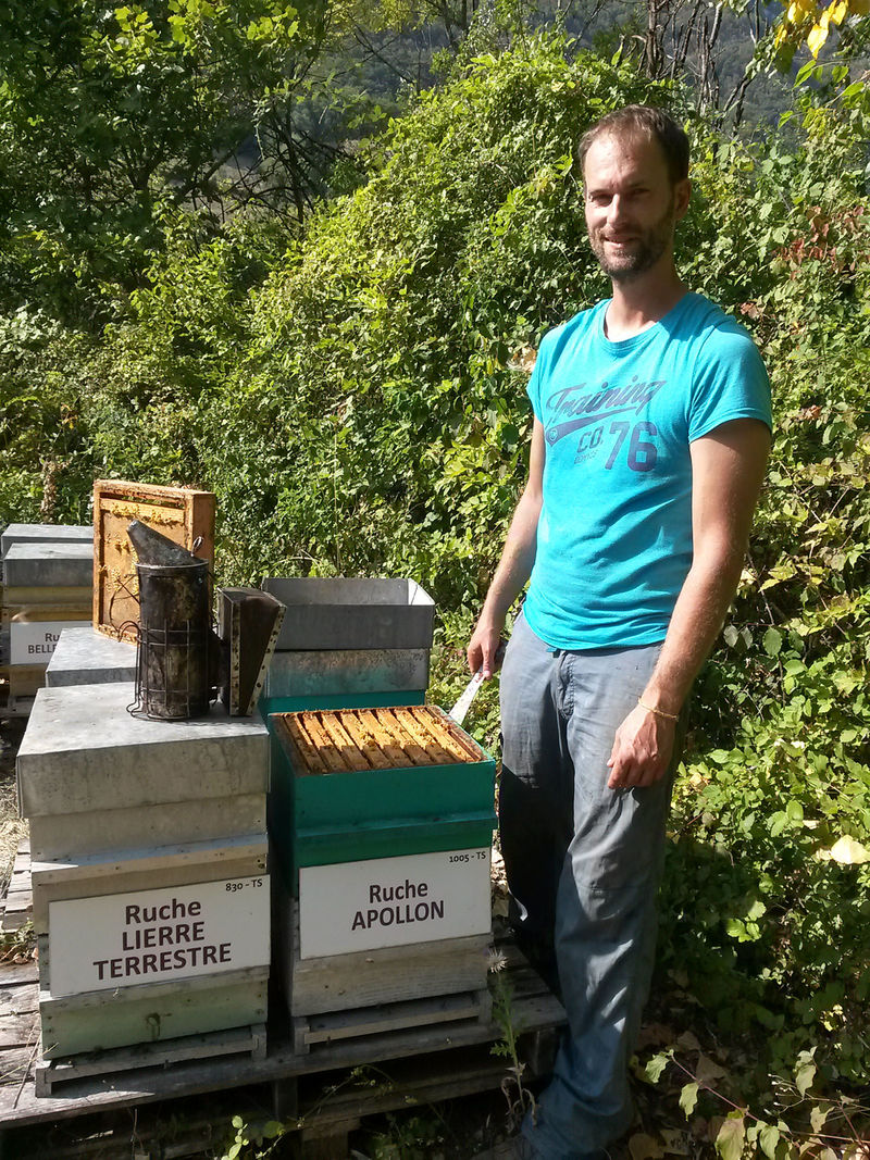 La ruche Apollon