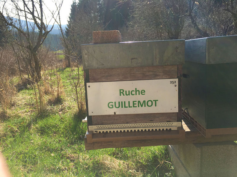 La ruche Guillemot
