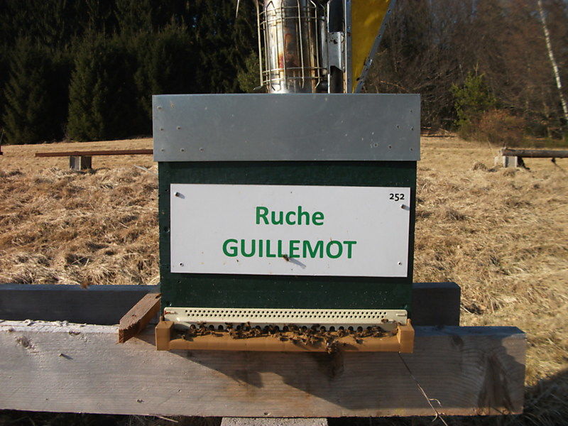 La ruche Guillemot