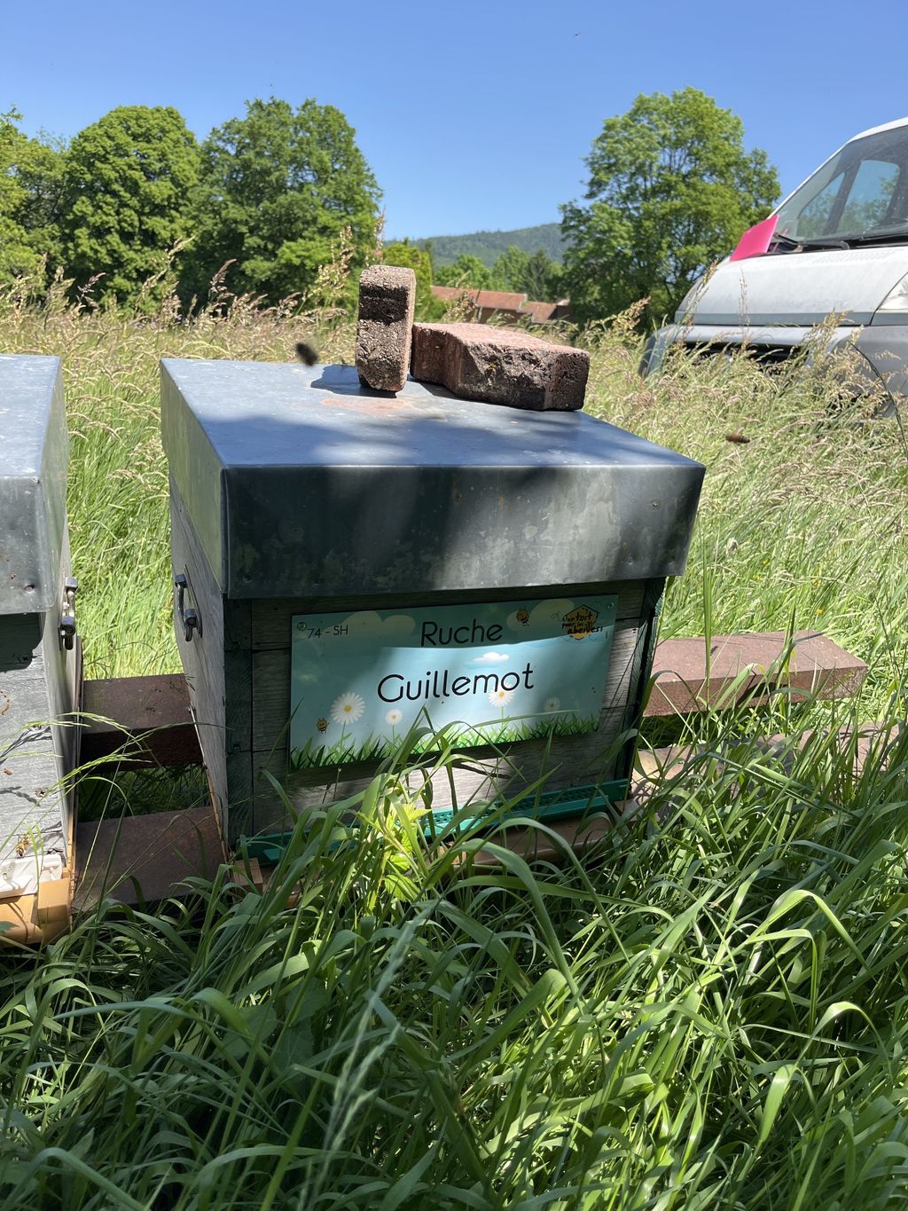 La ruche Guillemot