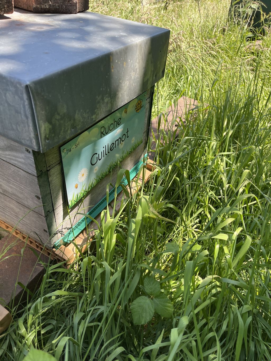 La ruche Guillemot